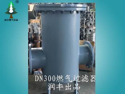 DN300-600大口徑燃?xì)膺^濾器